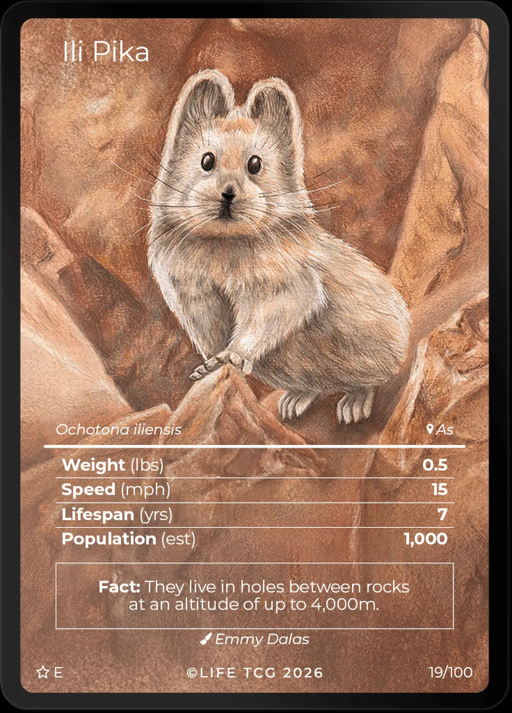 Ili Pika card front