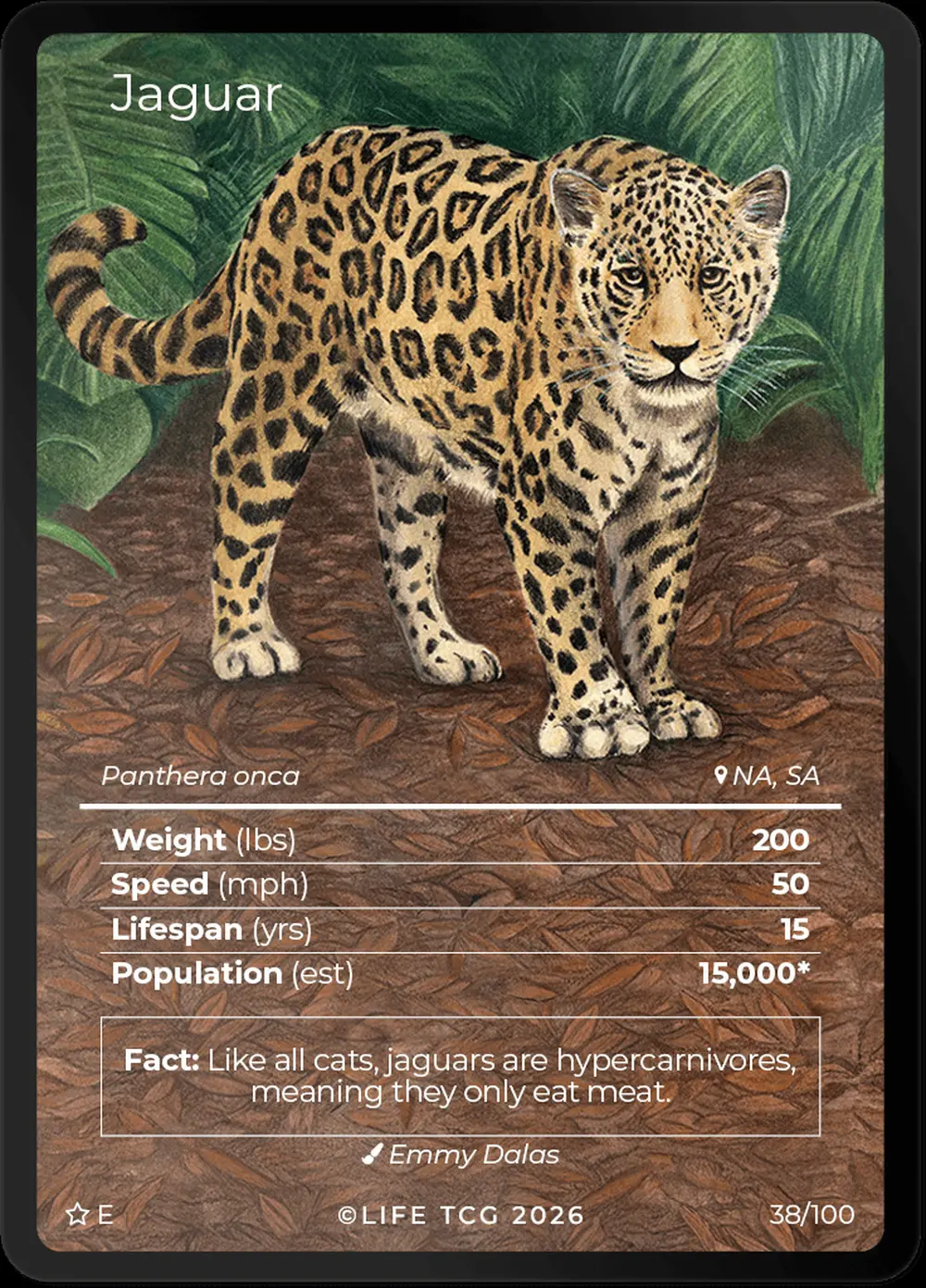 Jaguar card front