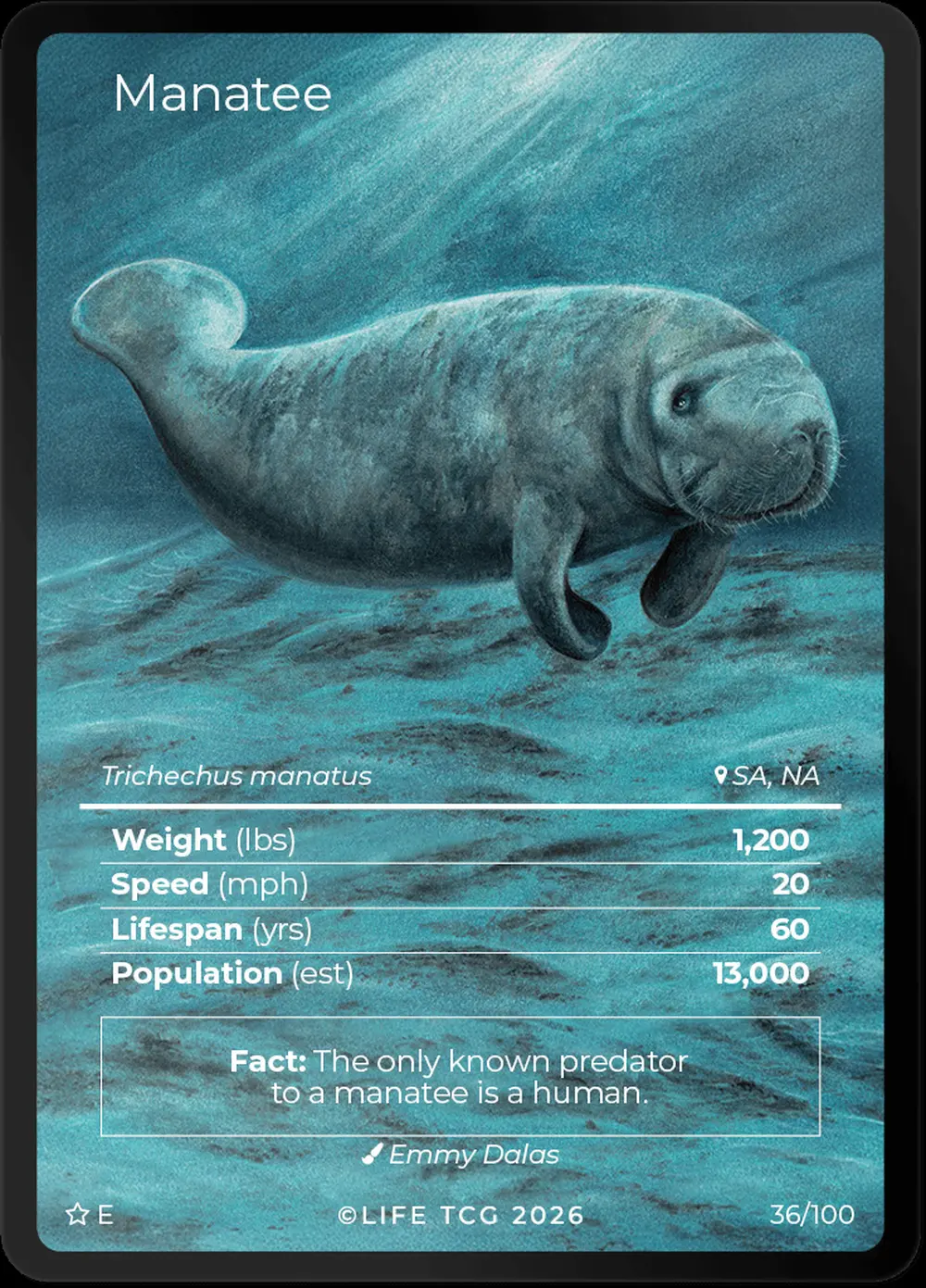 Manatee card front