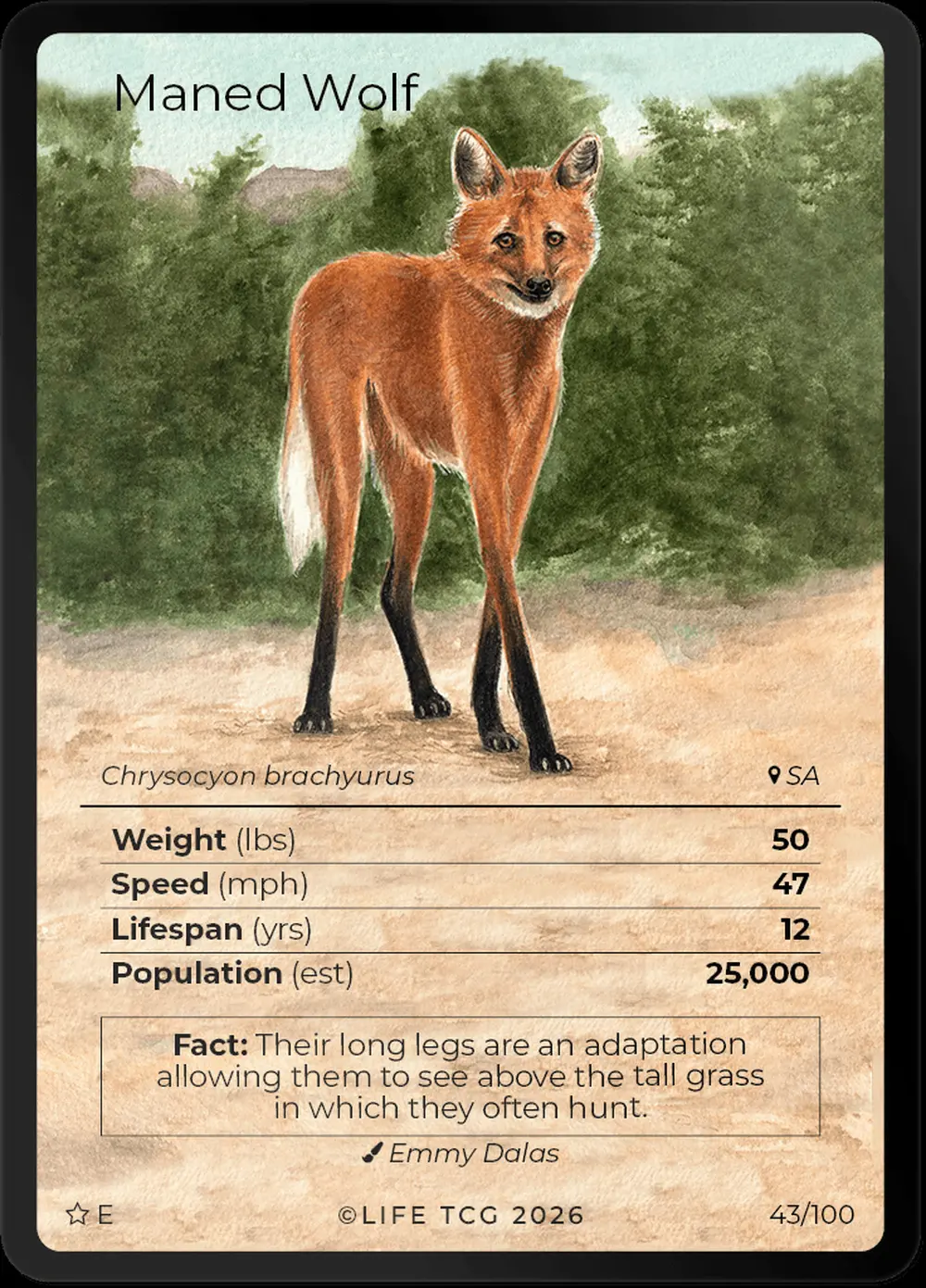 Maned Wolf card front