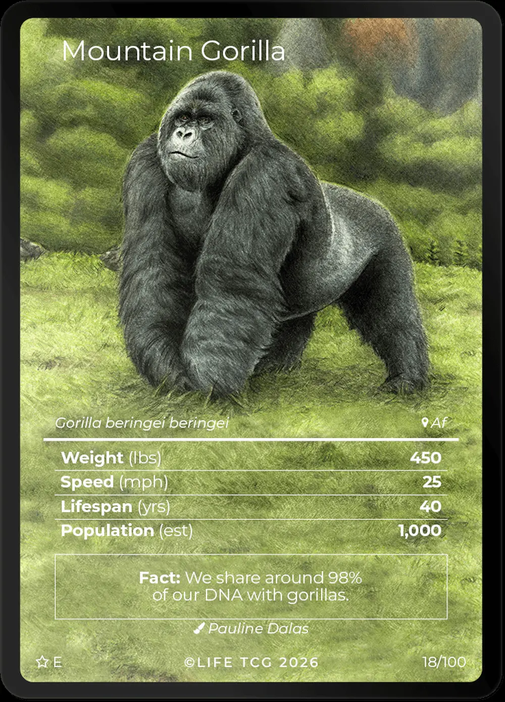 Mountain Gorilla card front