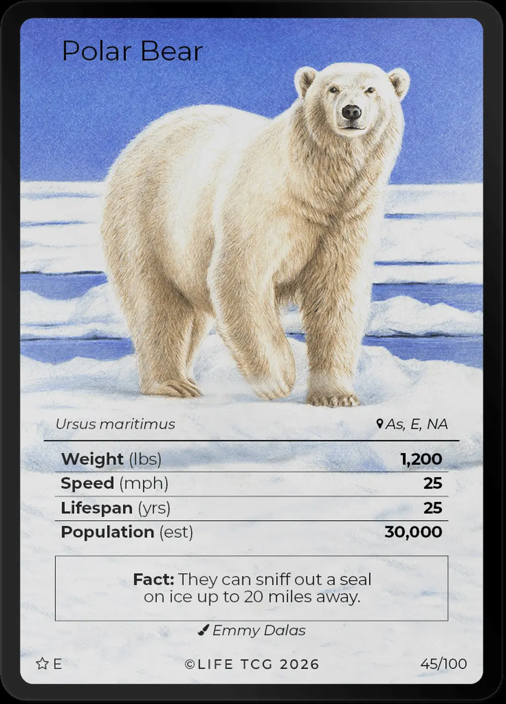 Polar Bear card front