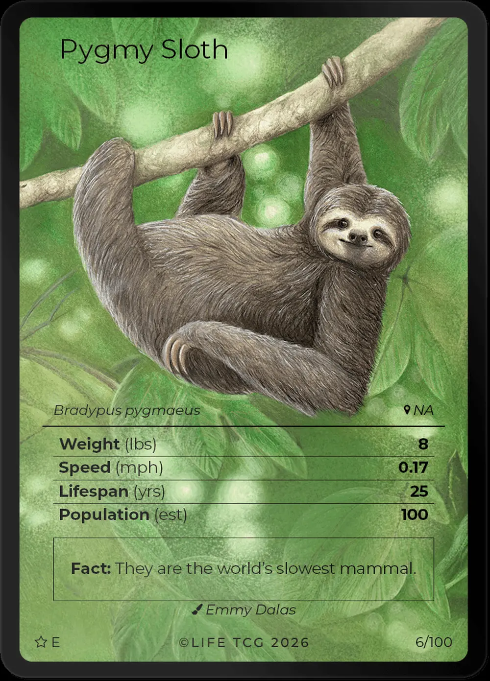 Pygmy Sloth card front
