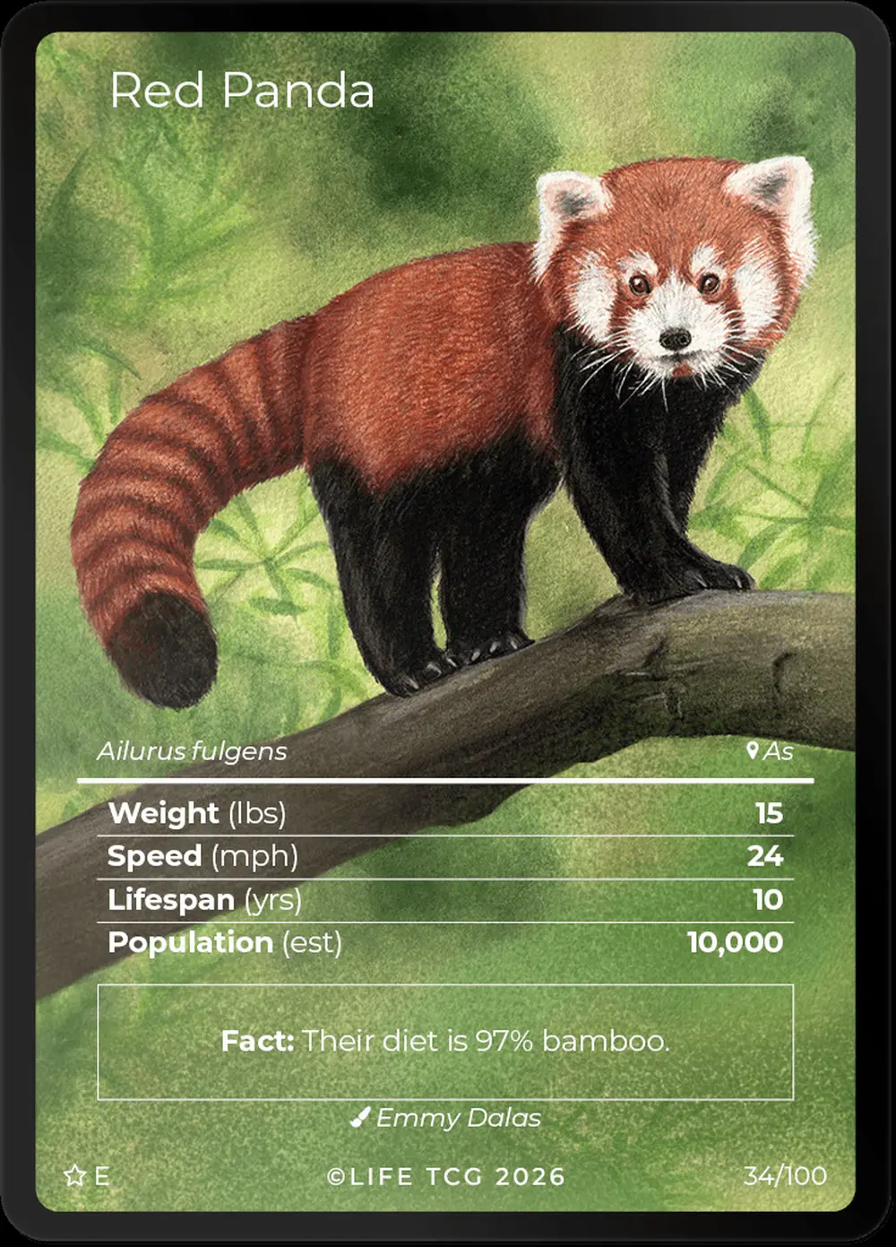 Red Panda card front
