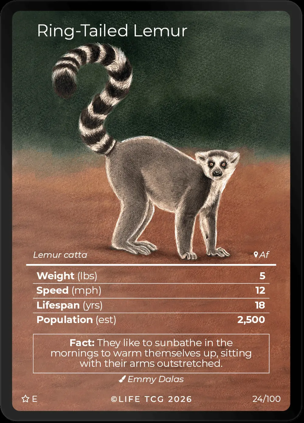 Ring Tailed Lemur card front