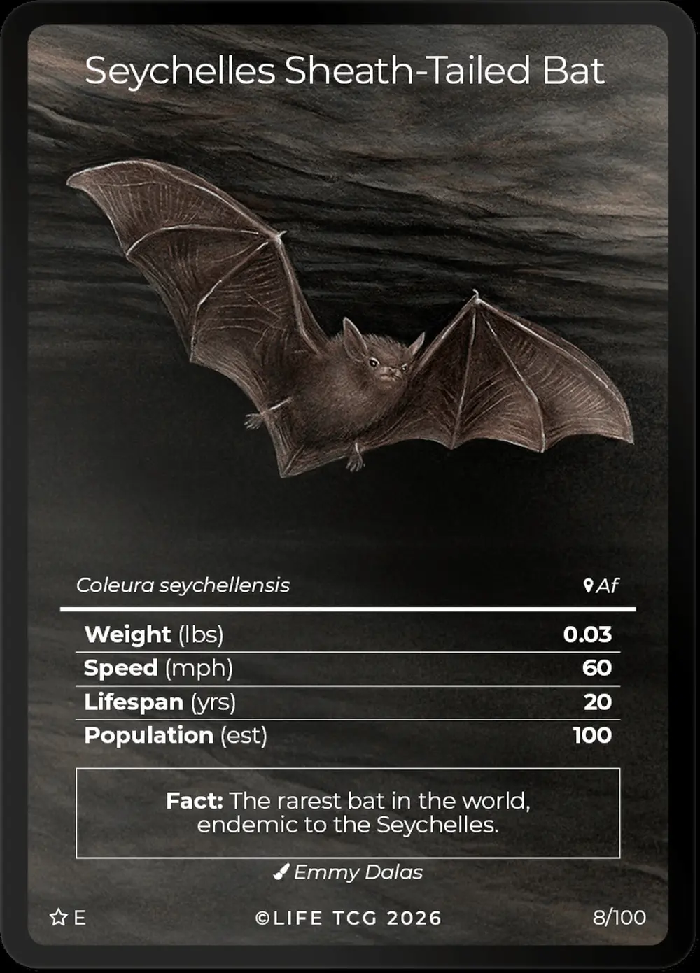 Seychelles Sheath Tailed Bat card front
