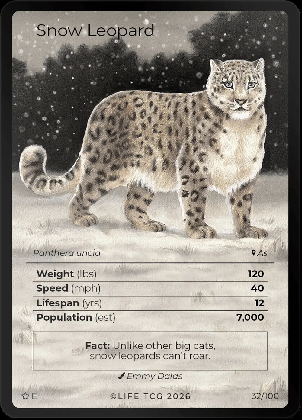 Snow Leopard card front
