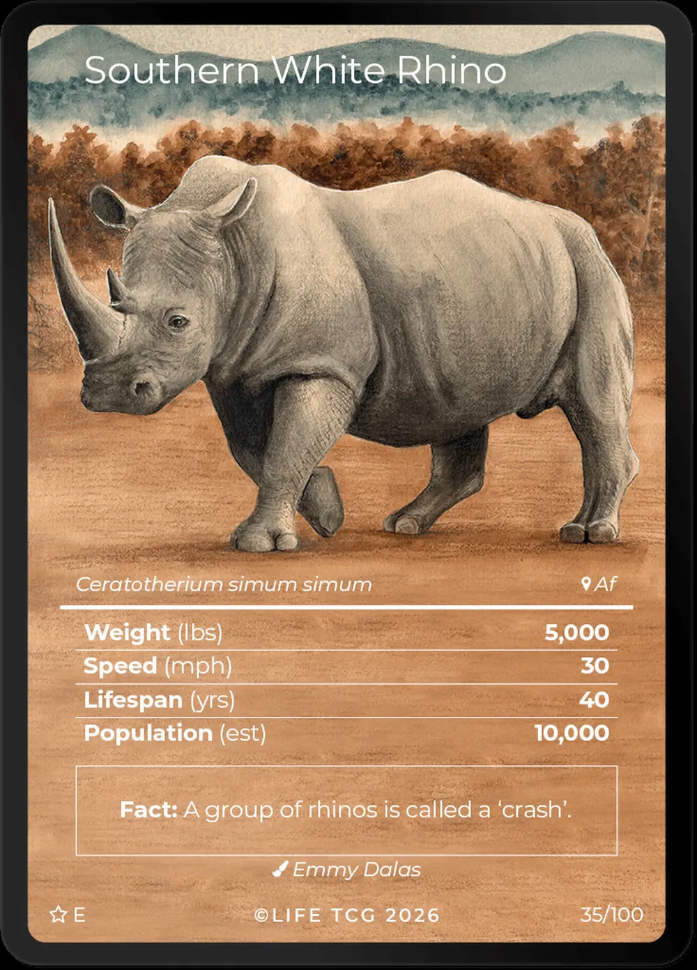 Southern White Rhino card front