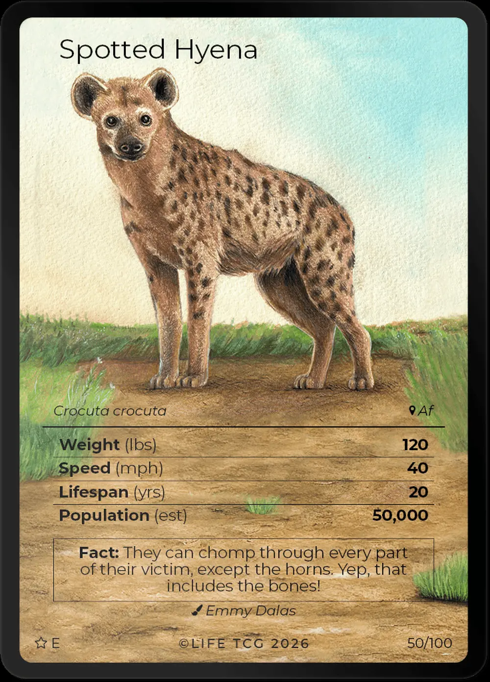 Spotted Hyena card front