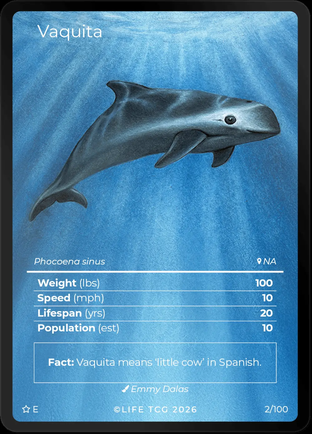 Vaquita card front
