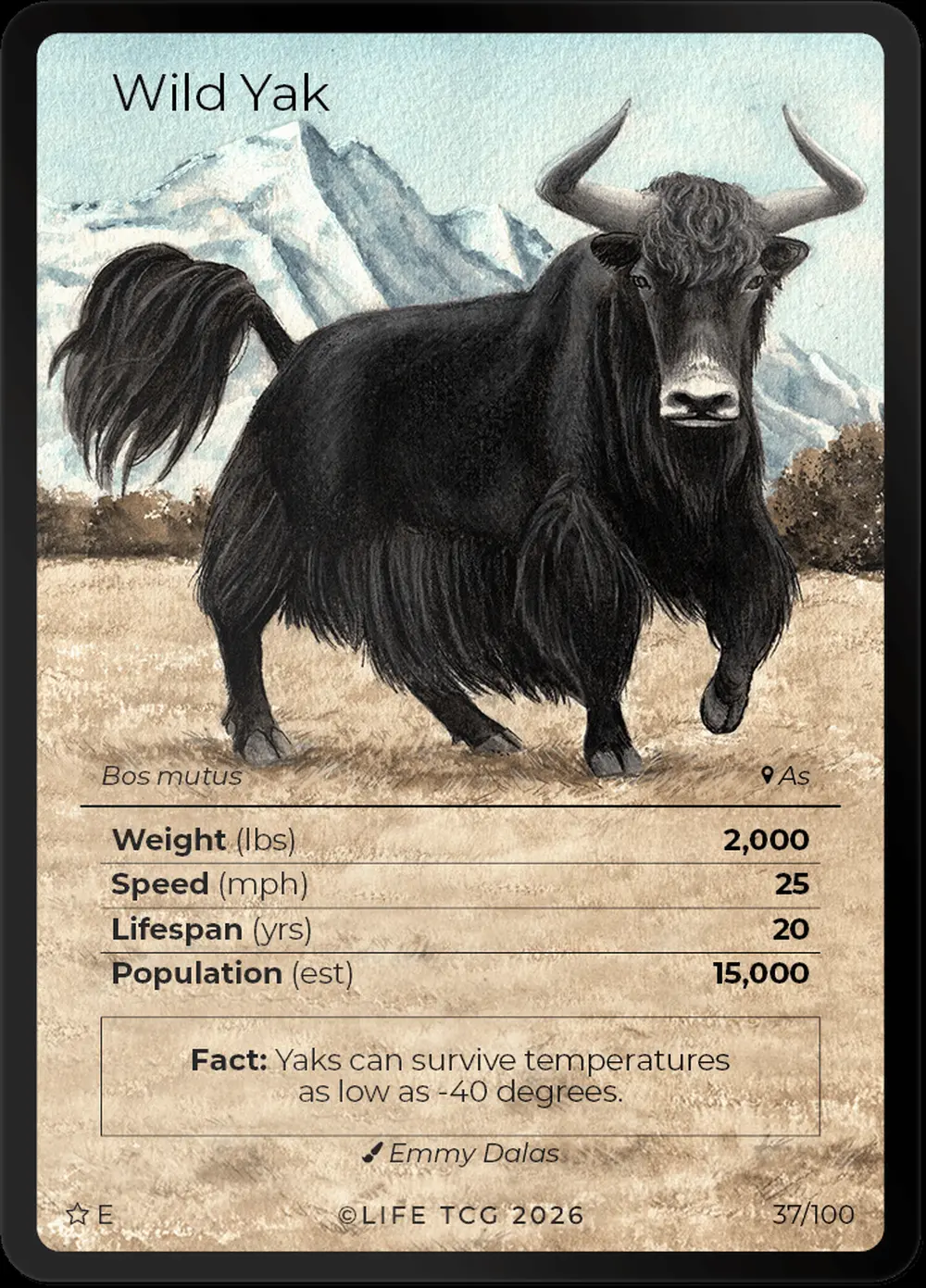 Wild Yak card front
