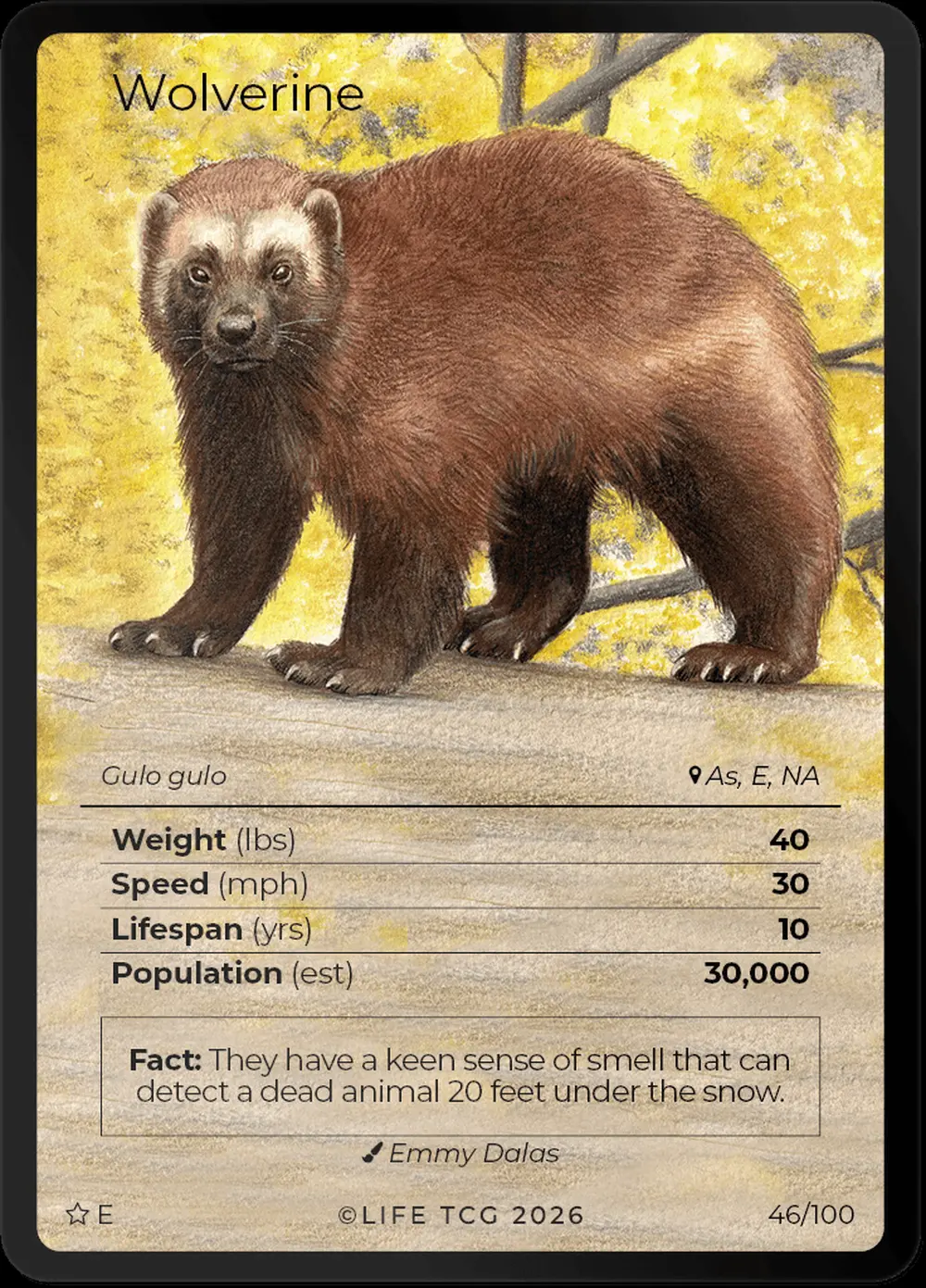 Wolverine card front
