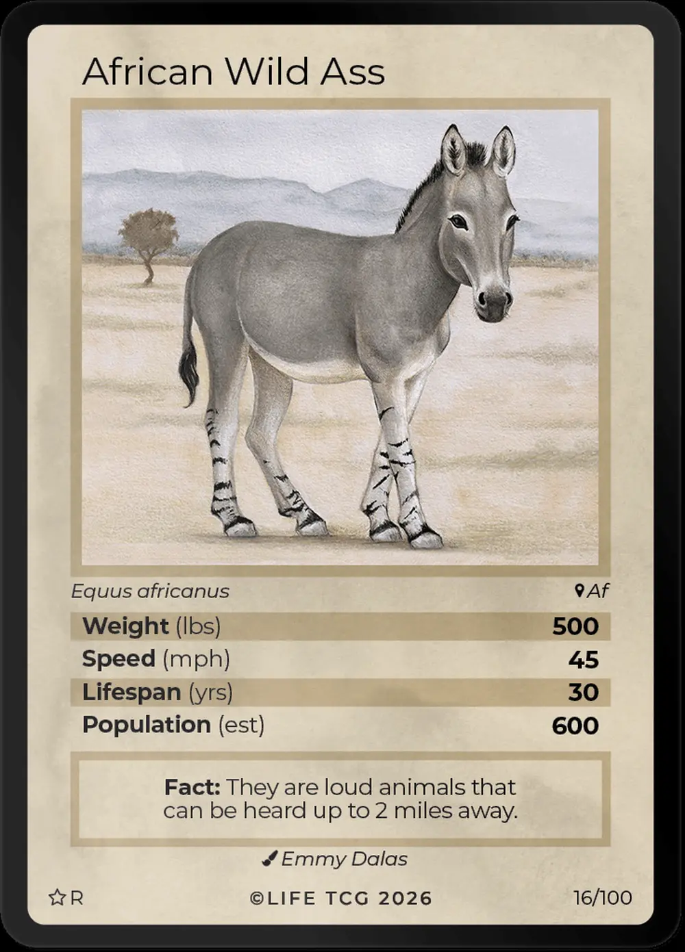 African Wild Ass card front