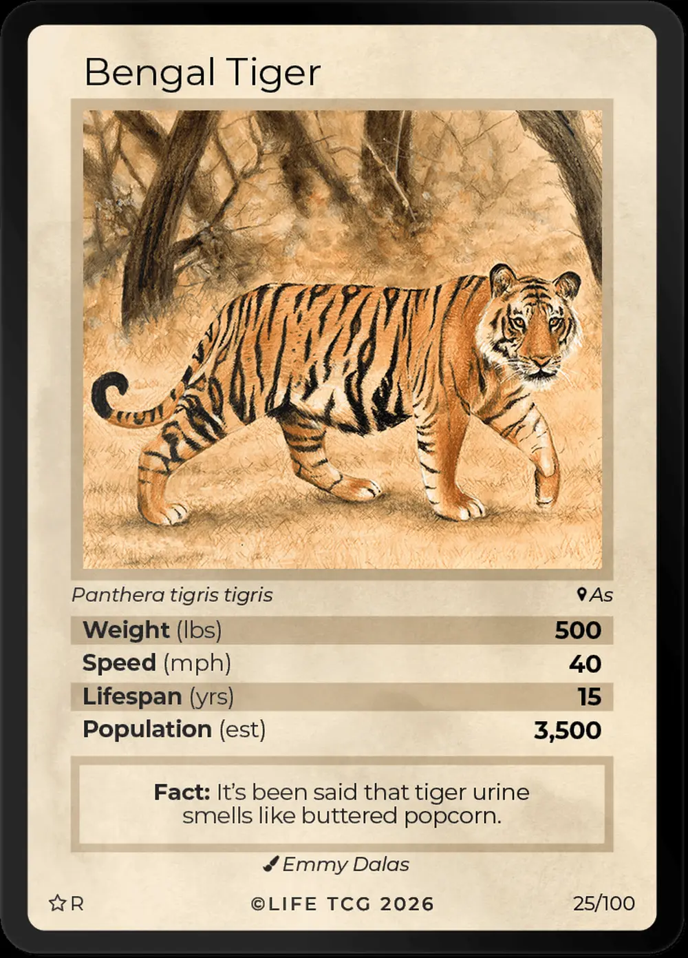 Bengal Tiger card front