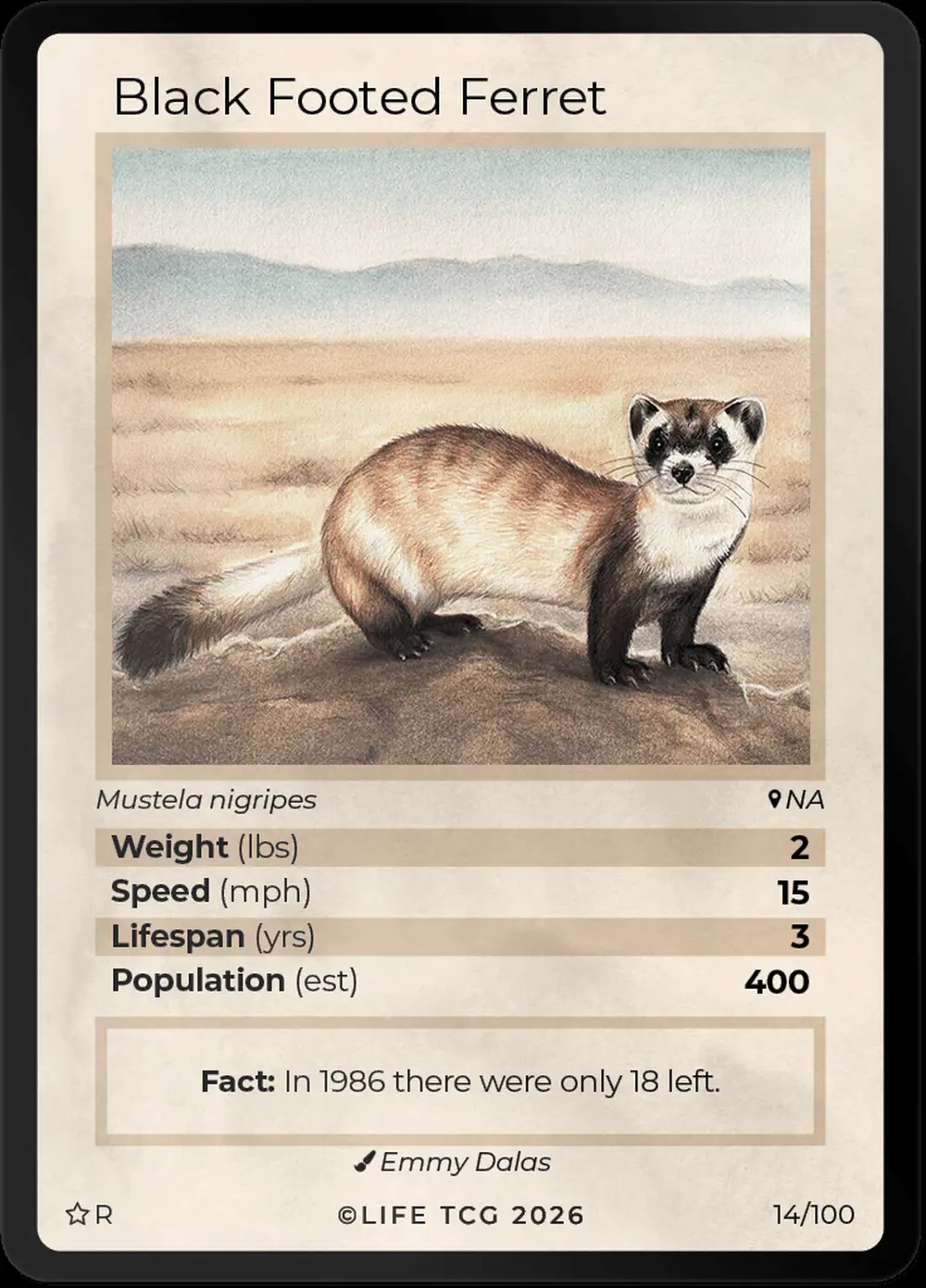 Black Footed Ferret card front
