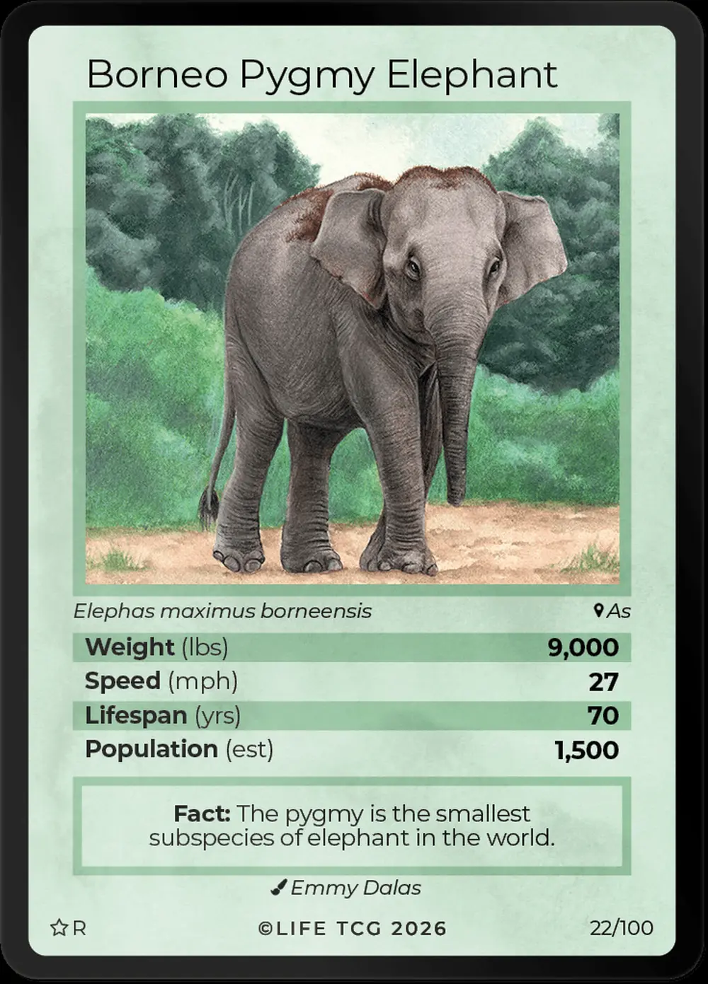Borneo Pygmy Elephant card front