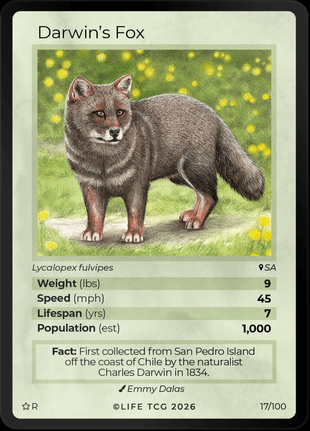 Darwins Fox card front