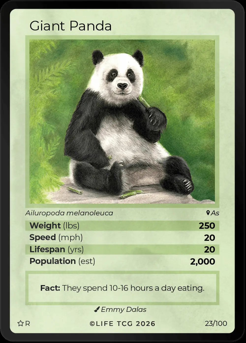 Giant Panda card front