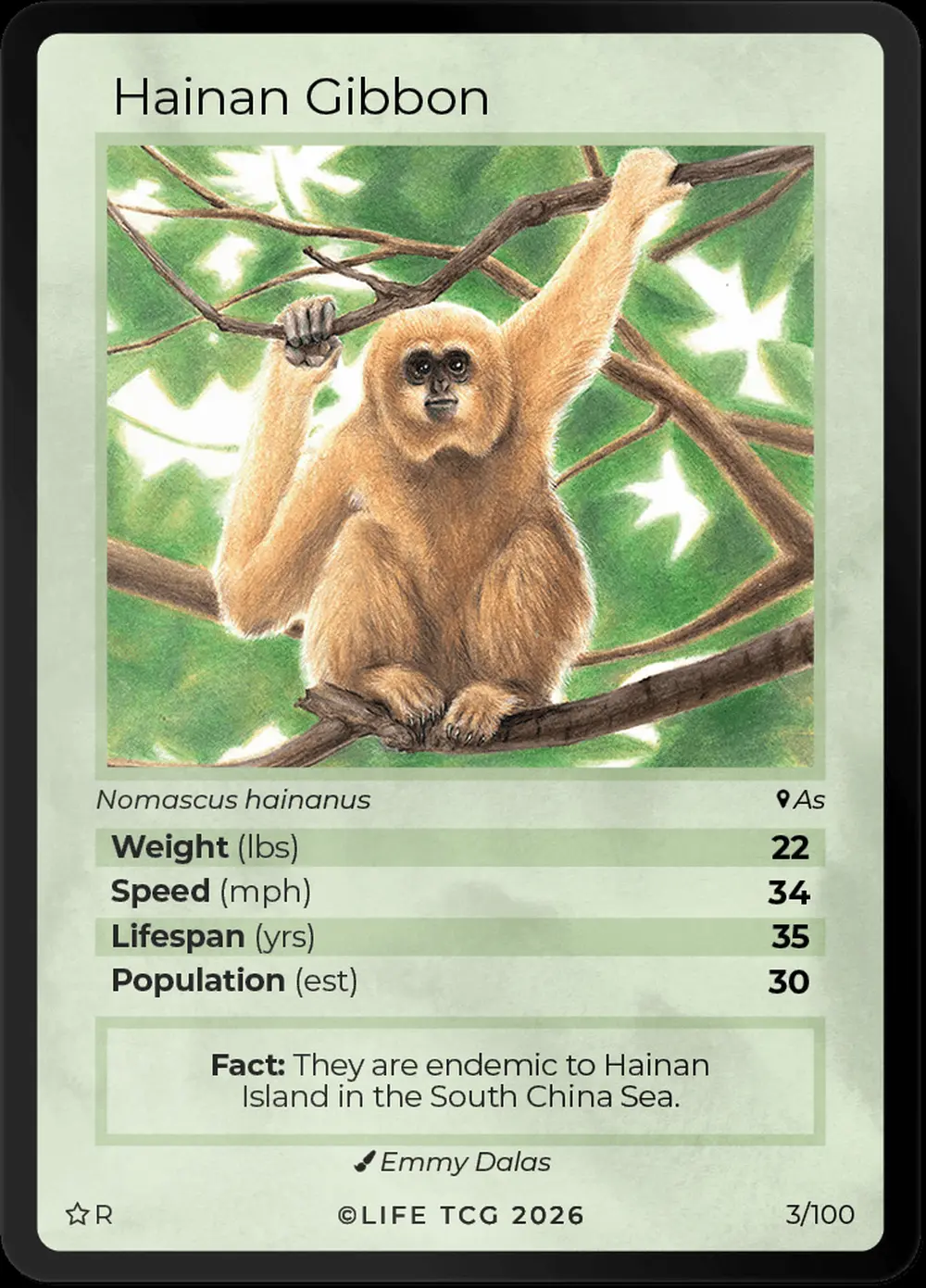 Hainan Gibbon card front