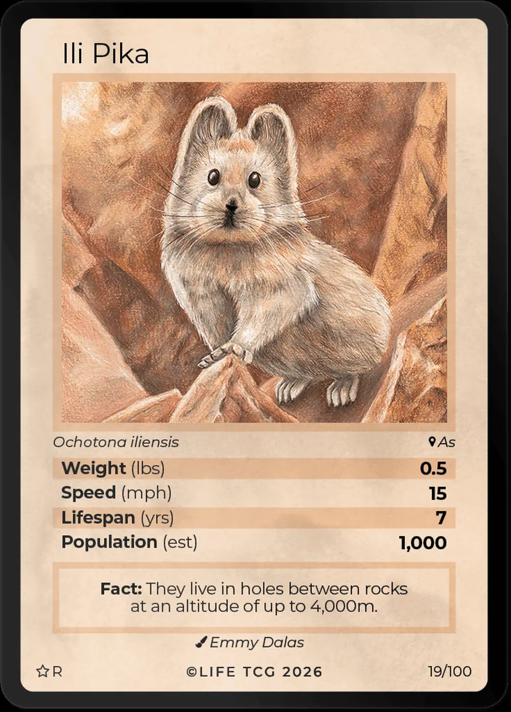 Ili Pika card front