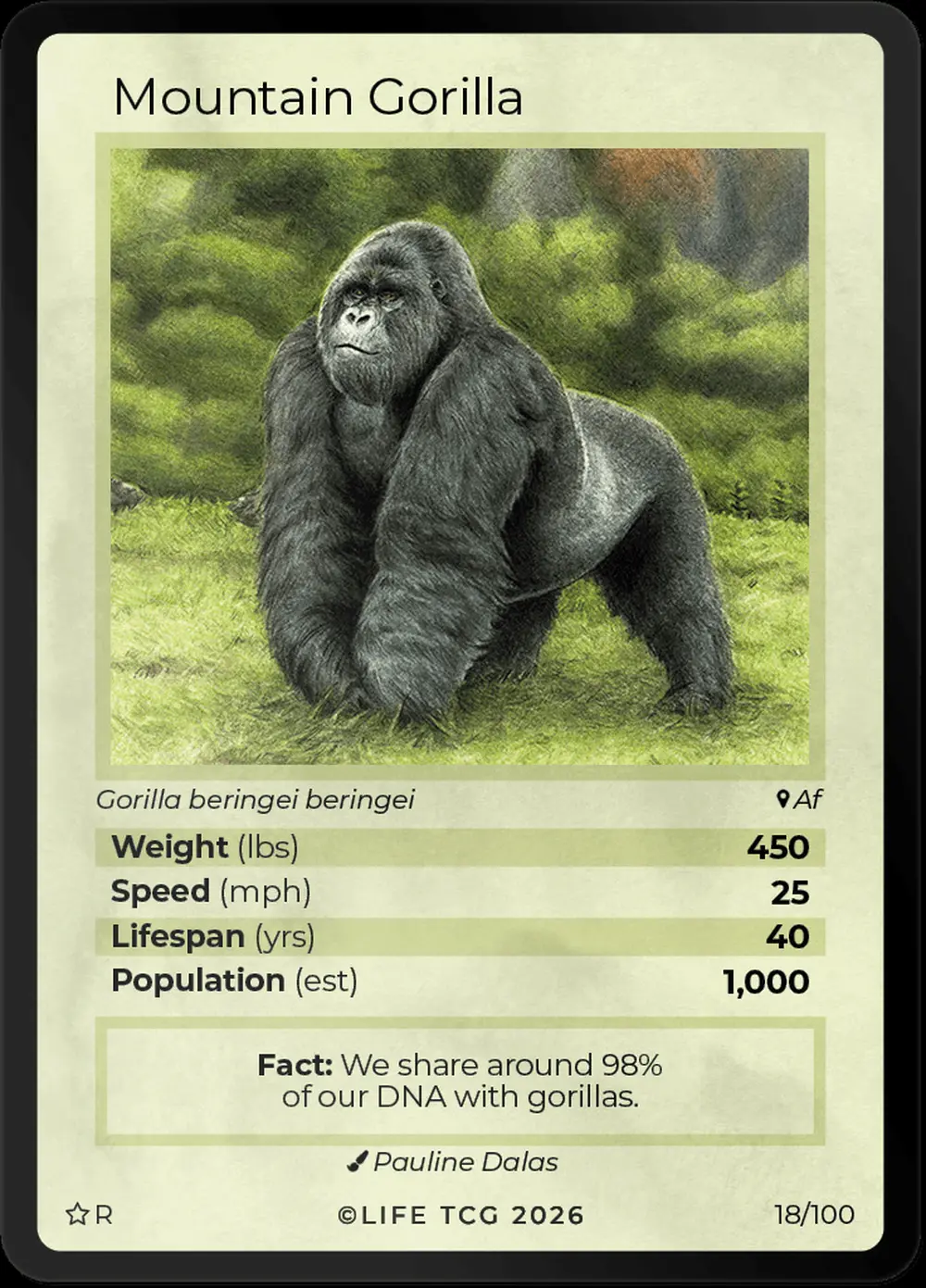 Mountain Gorilla card front