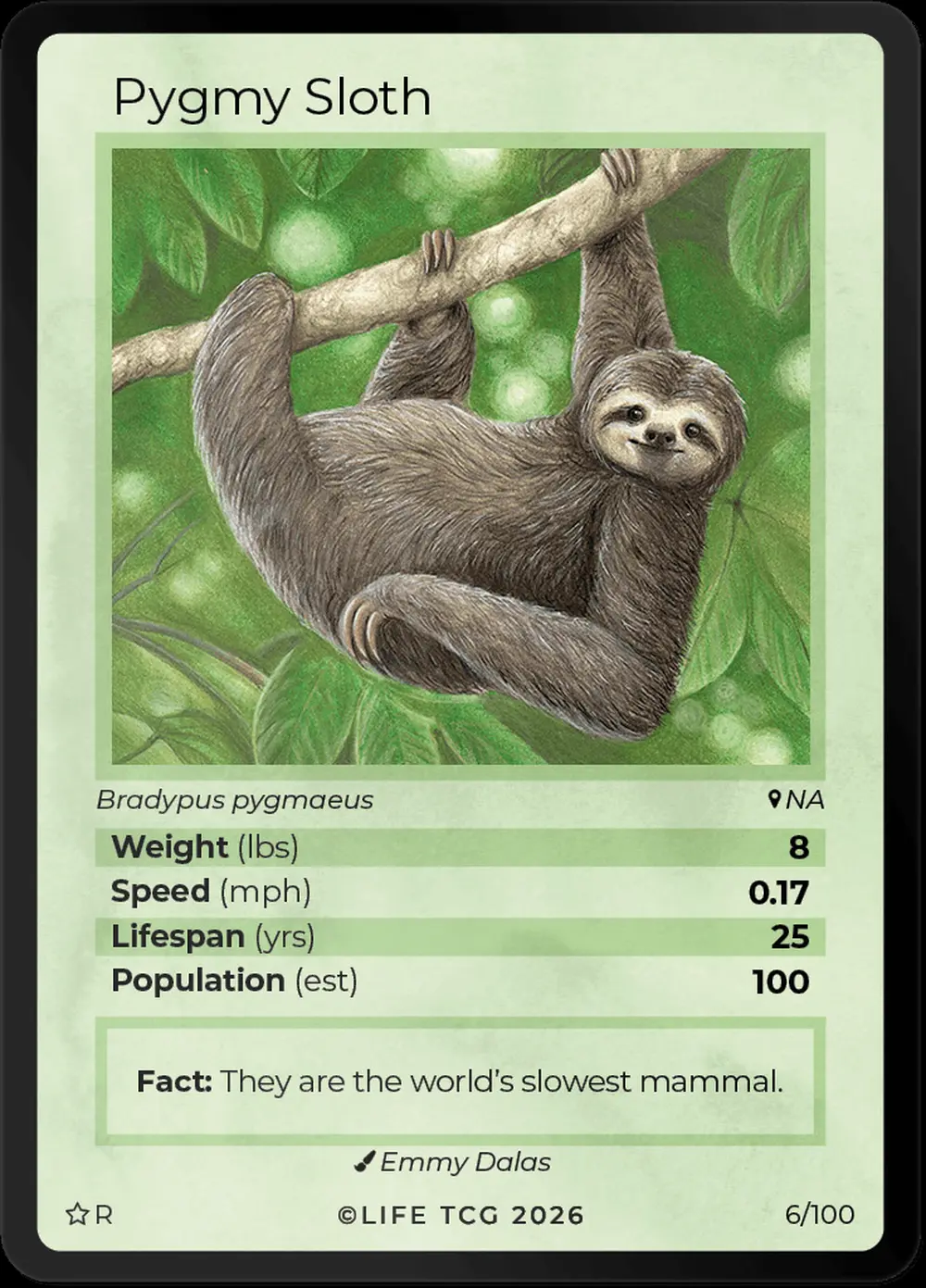 Pygmy Sloth card front