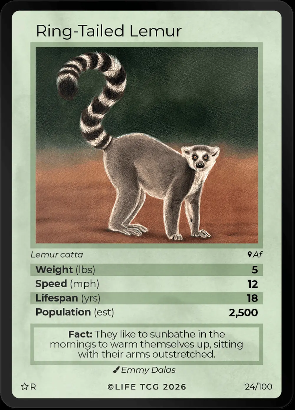 Ring Tailed Lemur card front