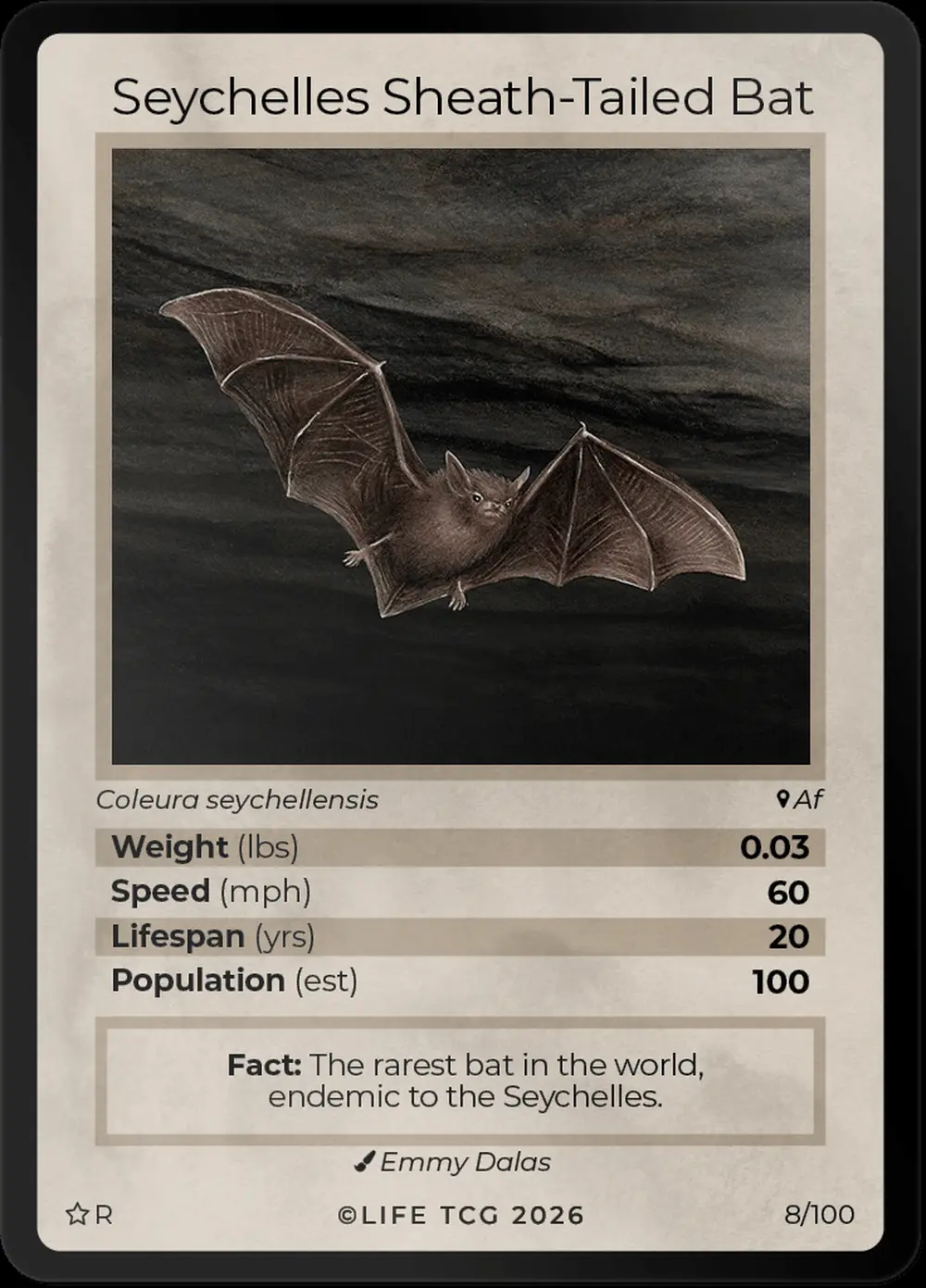 Seychelles Sheath-Tailed Bat card front