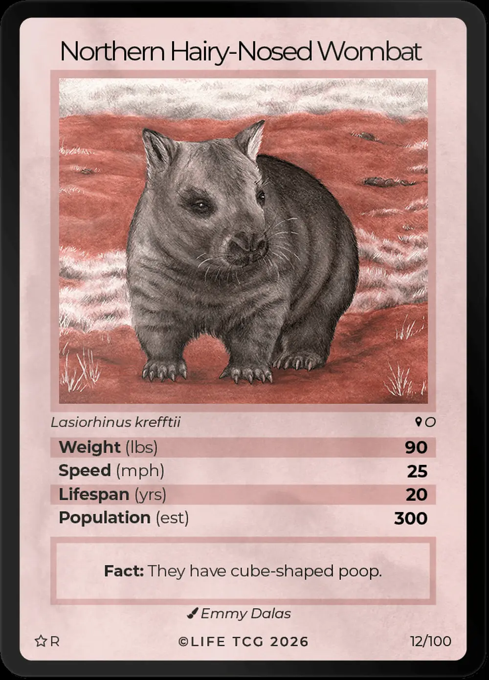 Northern Hairy Nosed Wombat card front