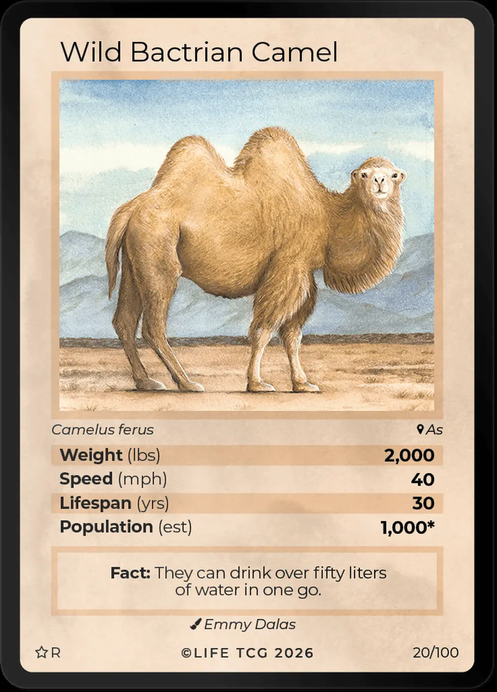 Wild Bactrian Camel card front