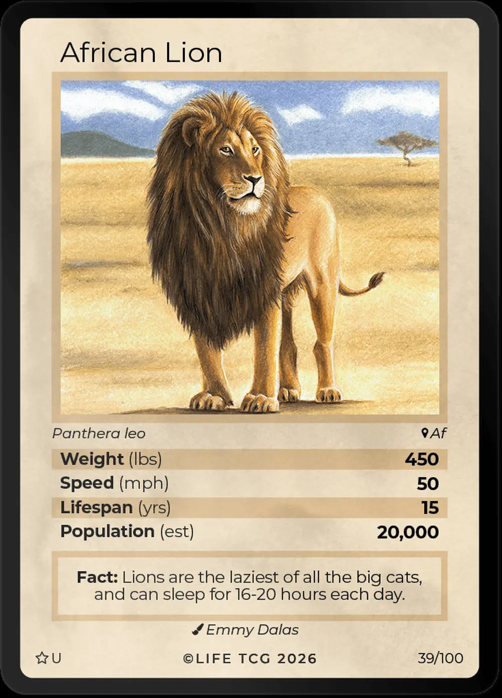 African Lion card front