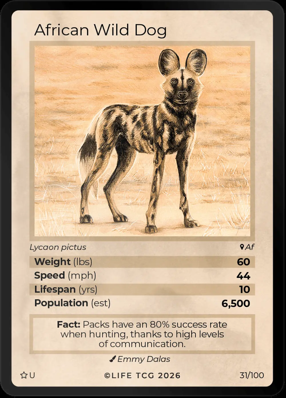African Wild Dog card front