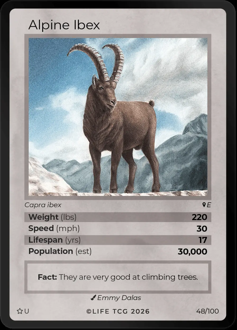 Alpine Ibex card front
