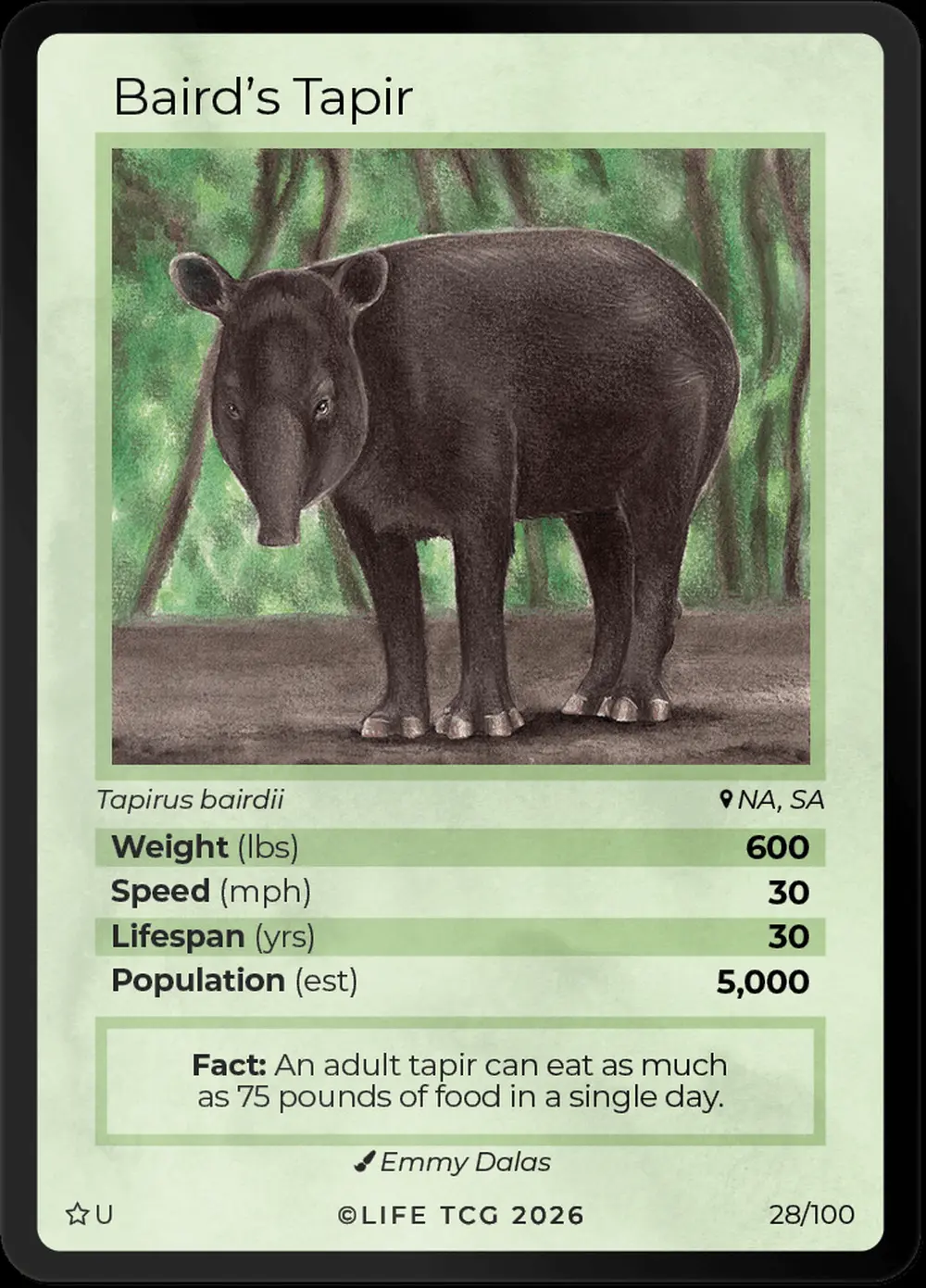 Bairds Tapir card front