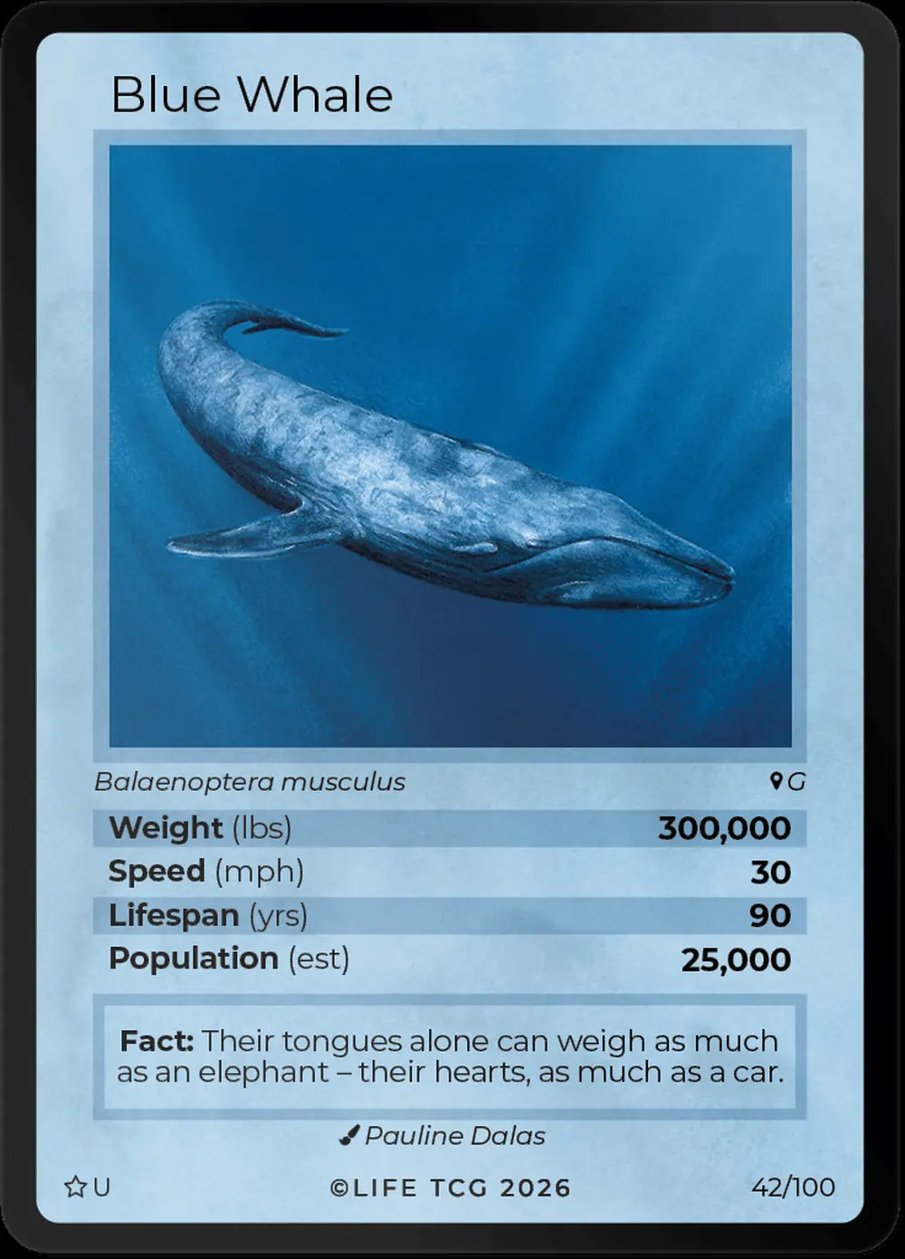 Blue Whale card front