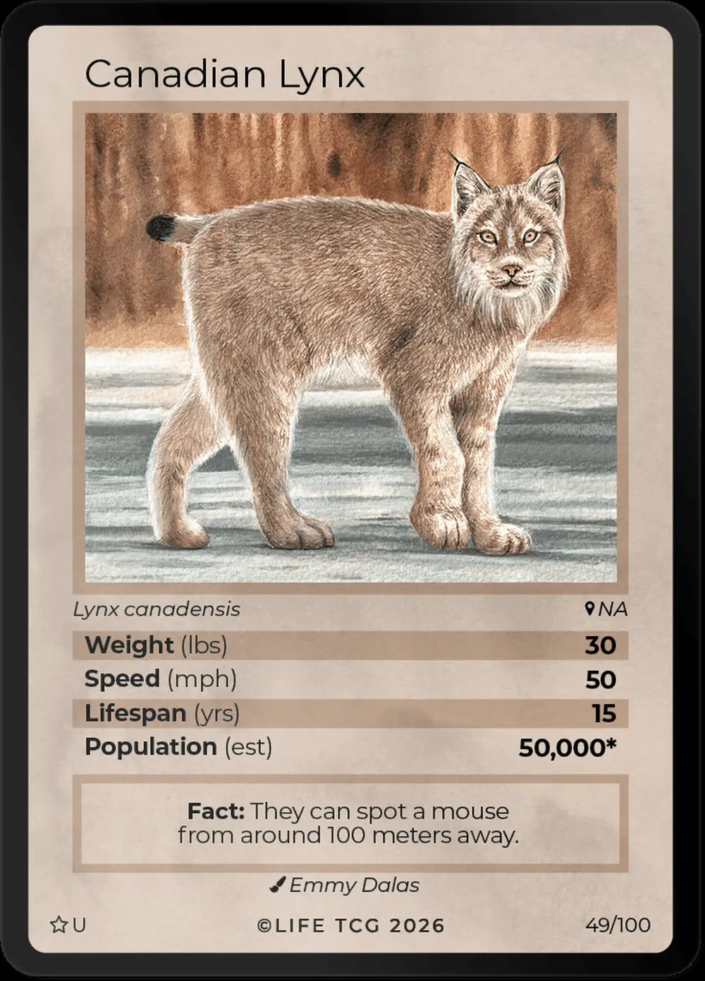Canadian Lynx card front