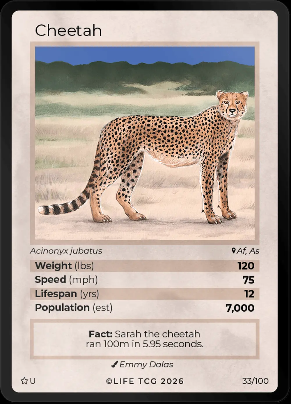 Cheetah card front