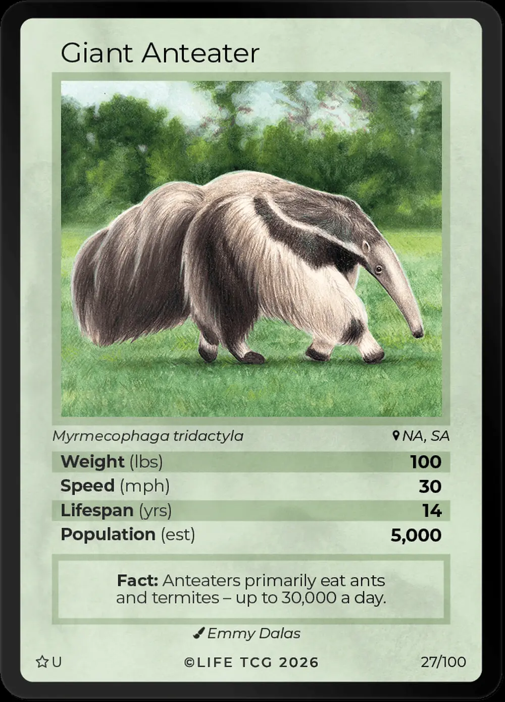 Giant Anteater card front