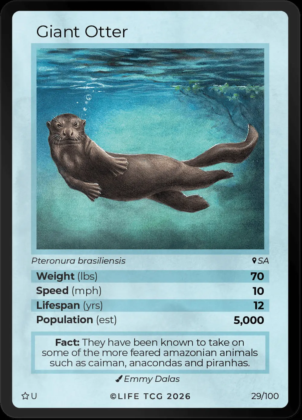Giant Otter card front