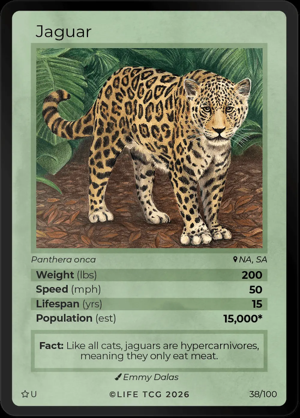 Jaguar card front