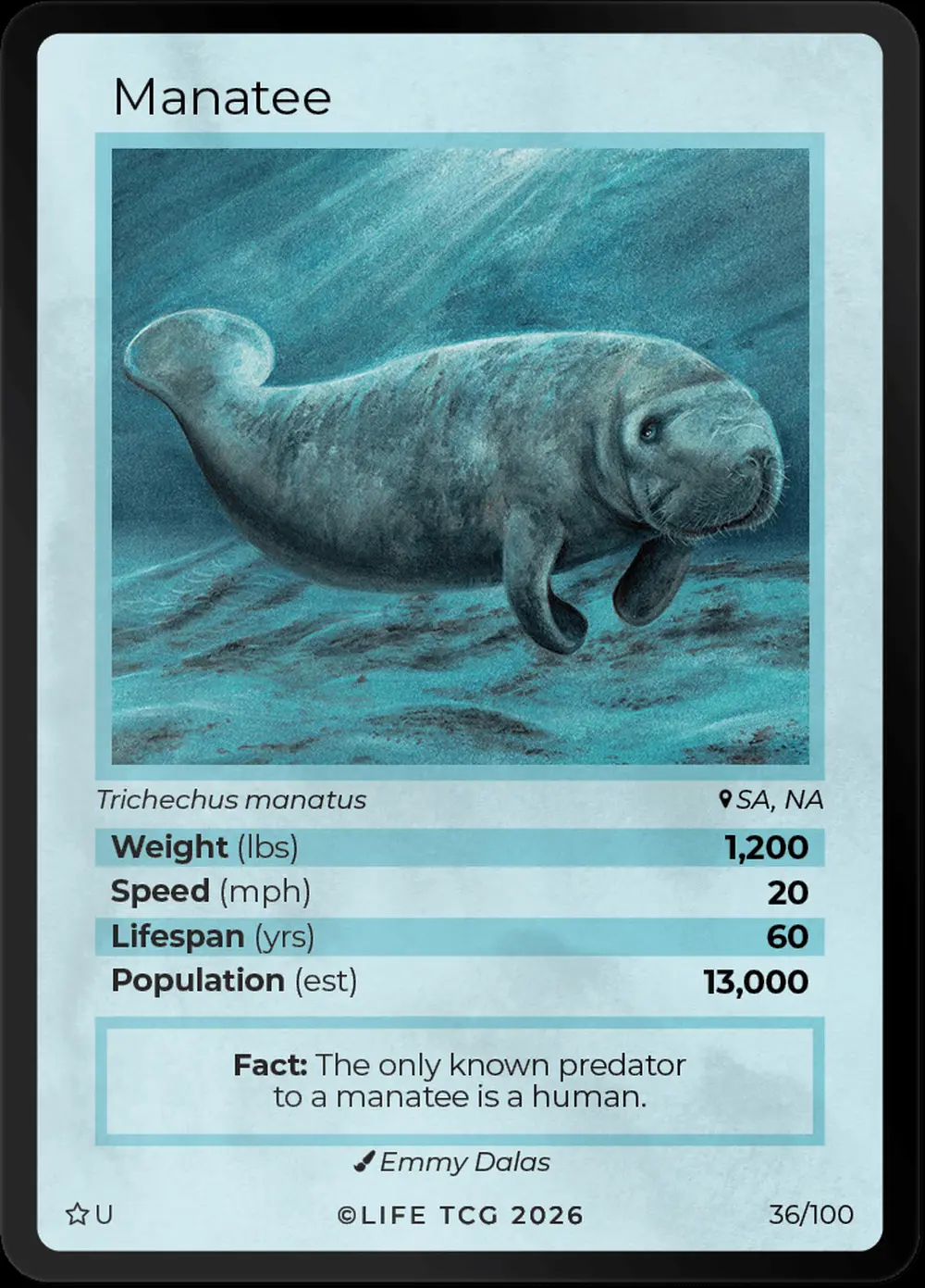 Manatee card front