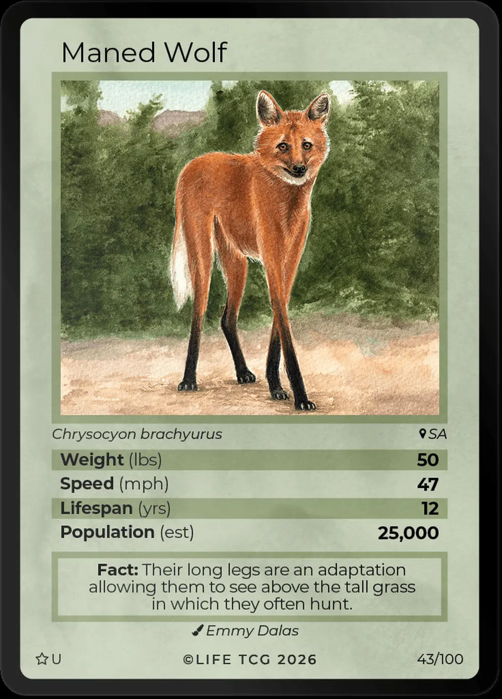 Maned Wolf card front