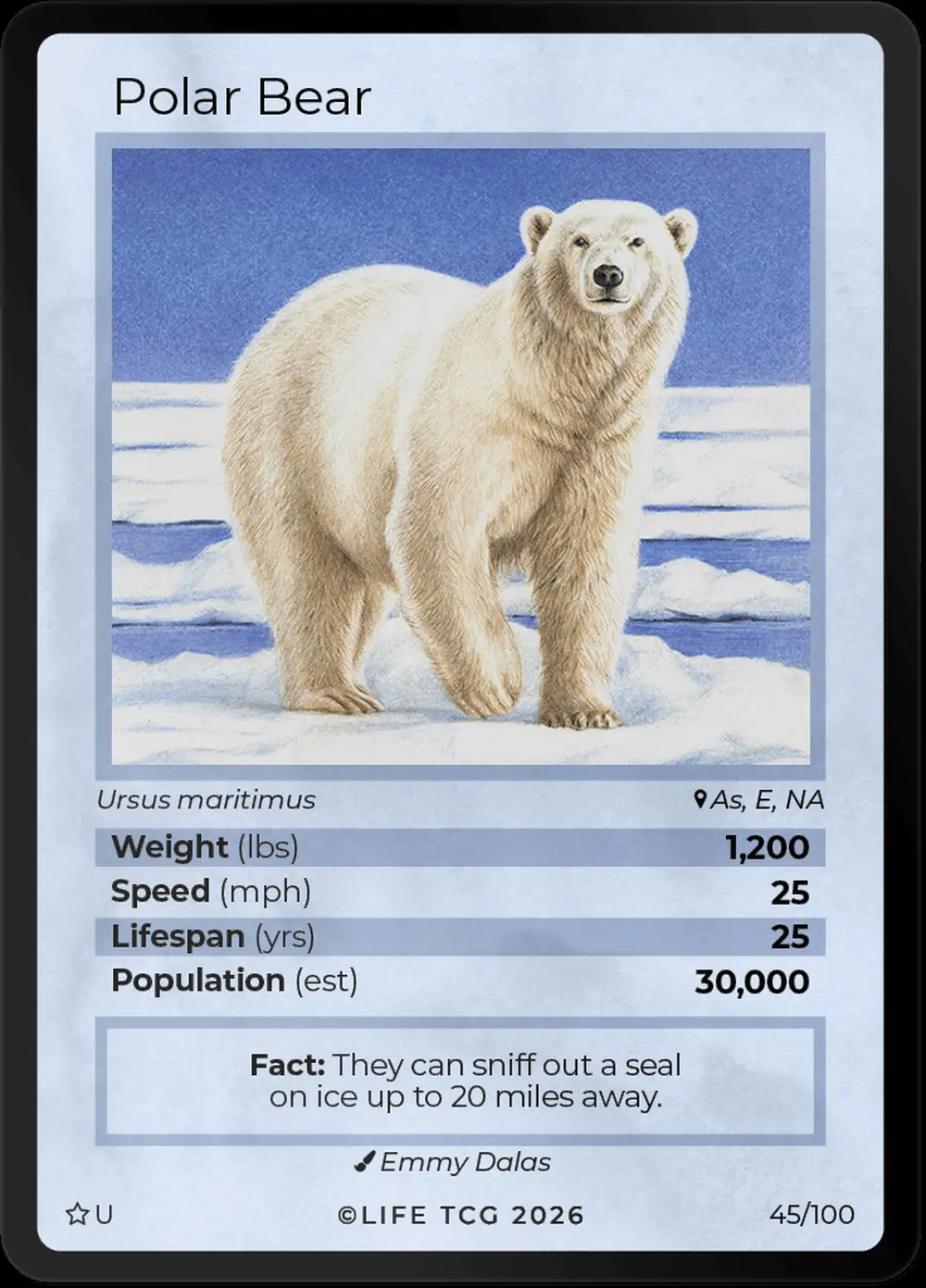 Polar Bear card front