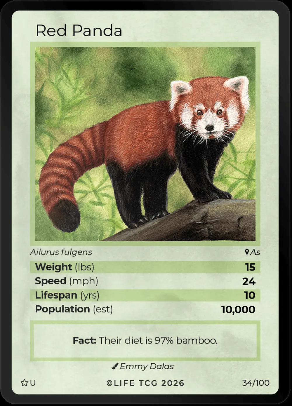 Red Panda card front