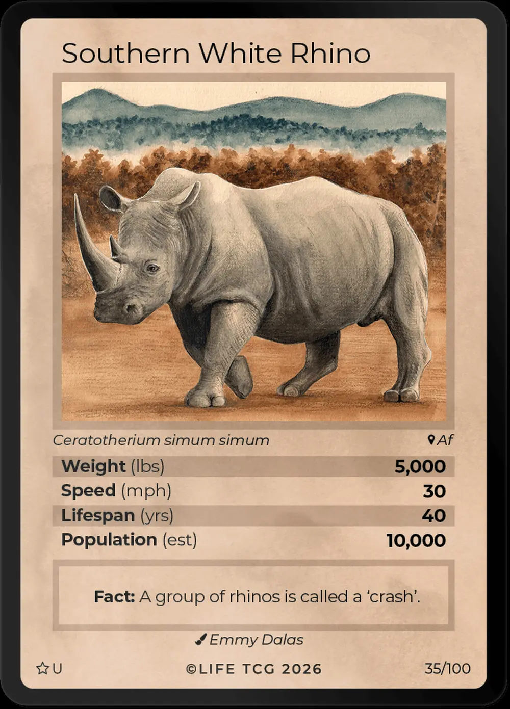 Southern White Rhino card front