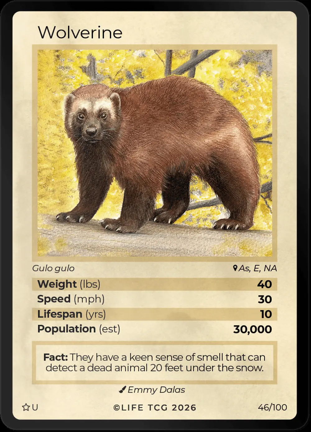 Wolverine card front