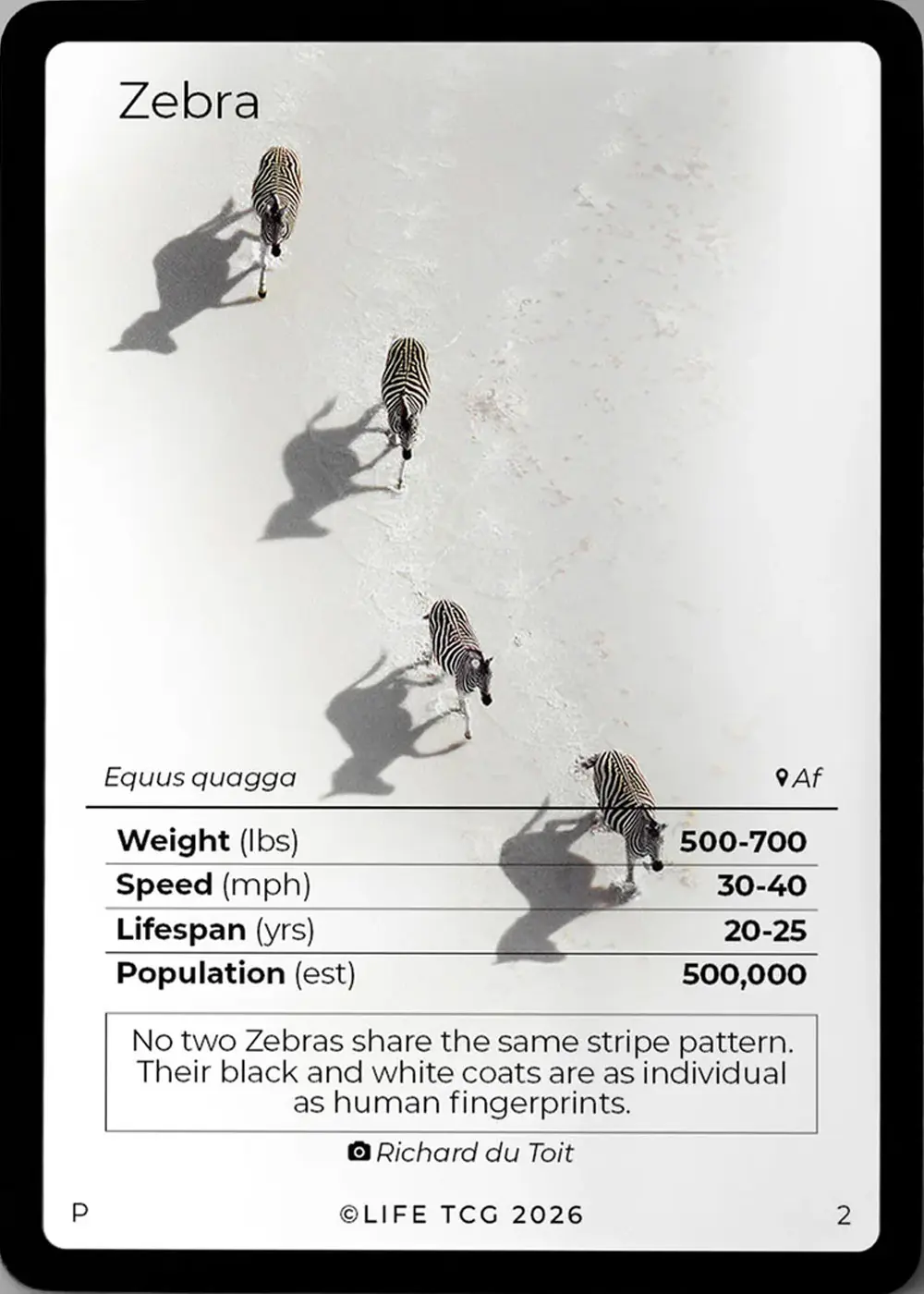 Zebra card front