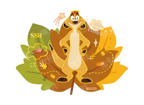 SSR02 card front