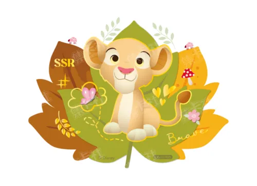 SSR05 card front