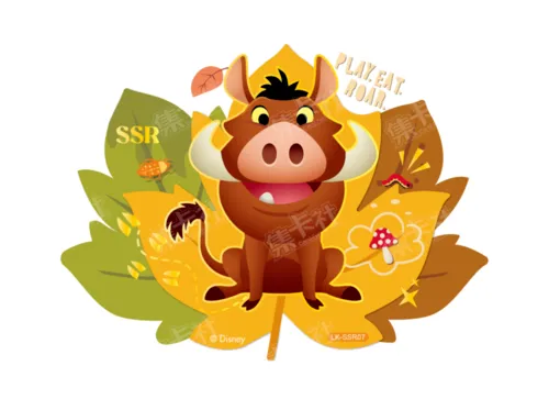 SSR07 card front
